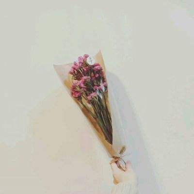 一桶浆糊手游九游版下载